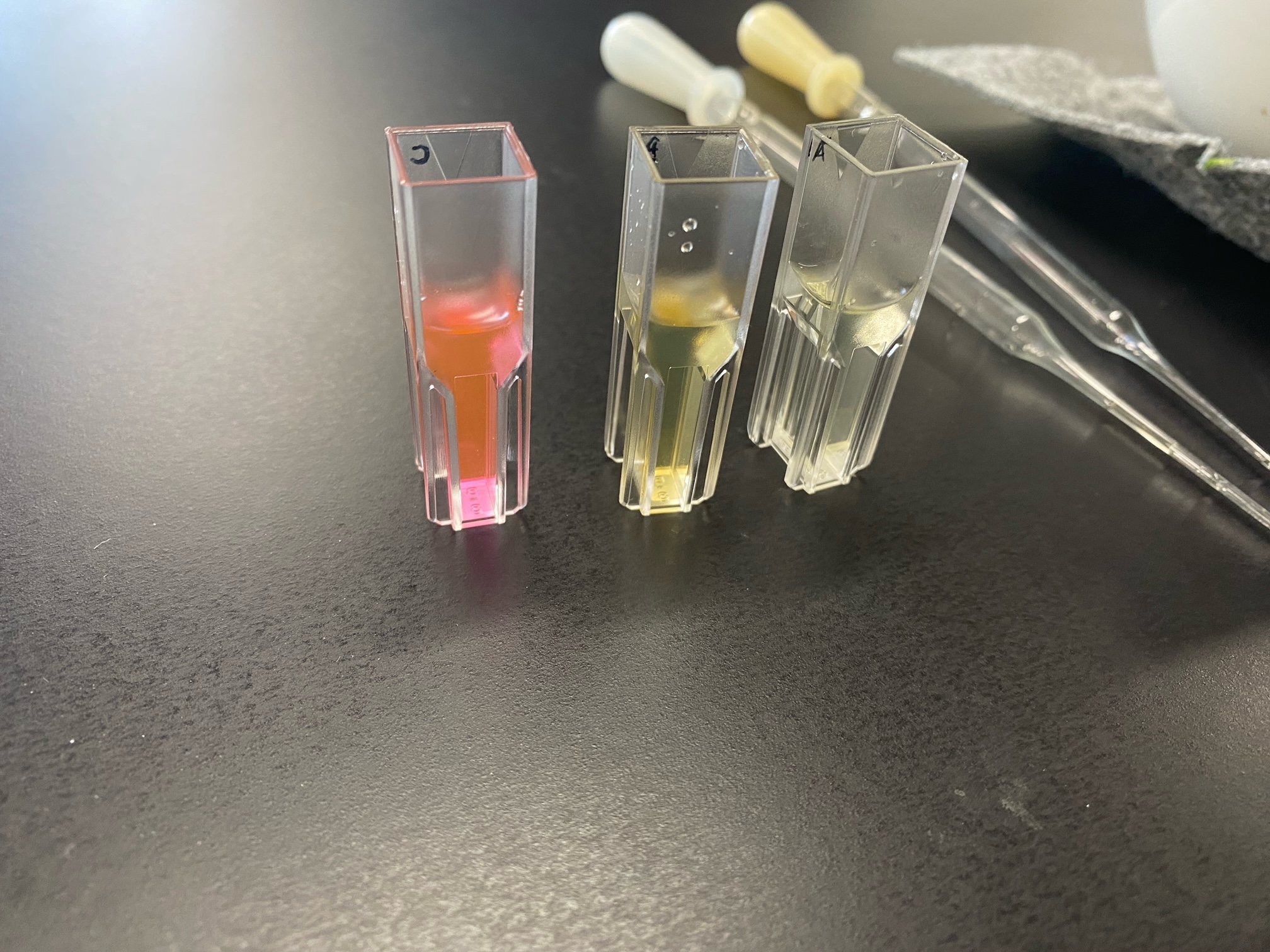 生物学臨海実習１